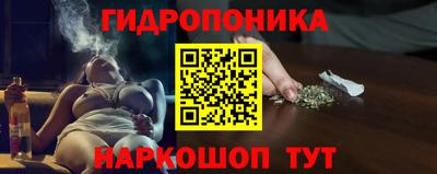 СК Гусь-Хрустальный