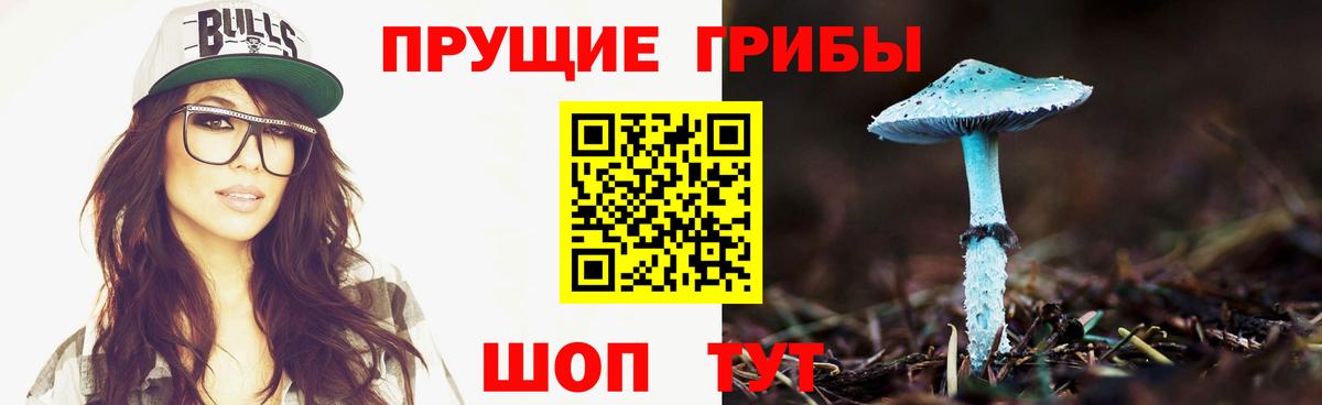 Мценск  Галлюциногенные грибы Magic Shrooms  Вход с VPN 